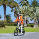 Xiaomi QiCycle C2 20" 250W Black Electric Bicycle
