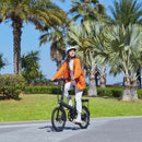 Xiaomi QiCycle C2 20" 250W Black Electric Bicycle