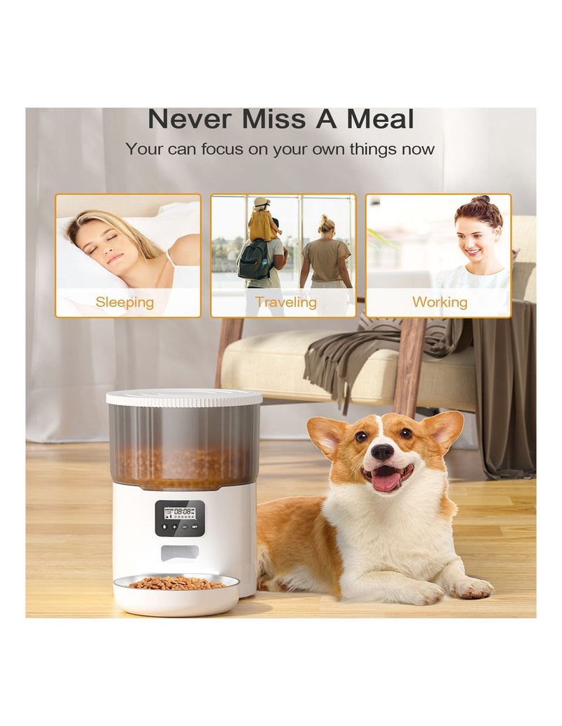 Alimentador Automático p/Animal de Estimação