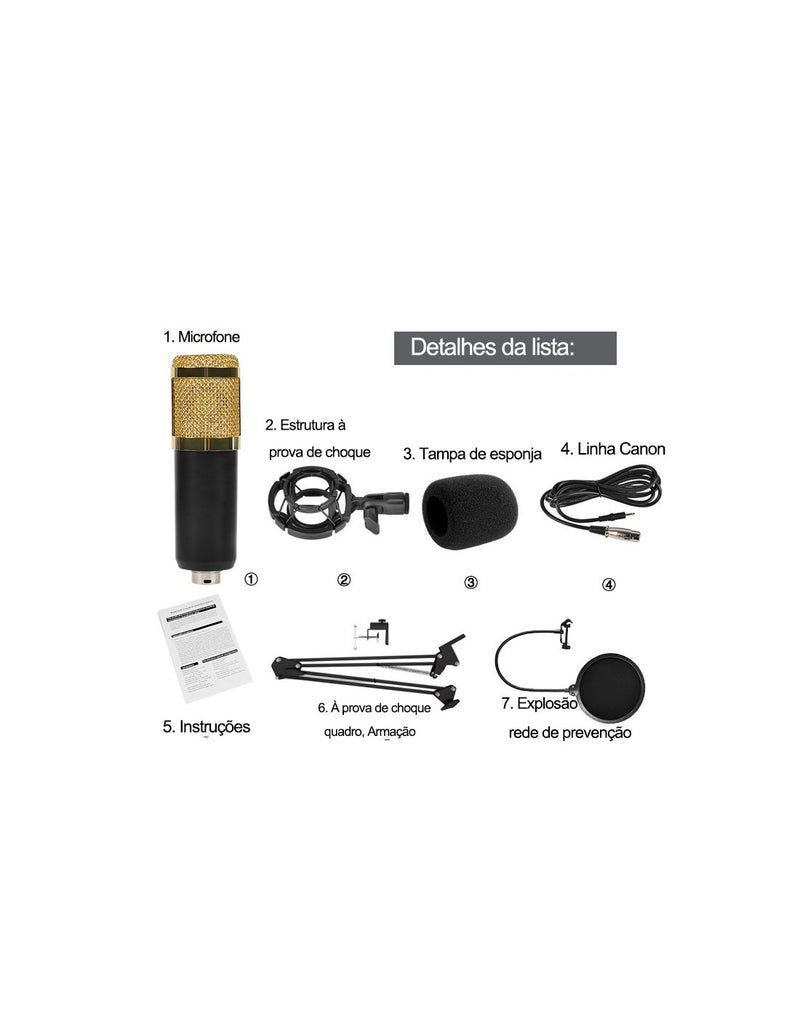 Kit Microfone de Estúdio com Placa de Som