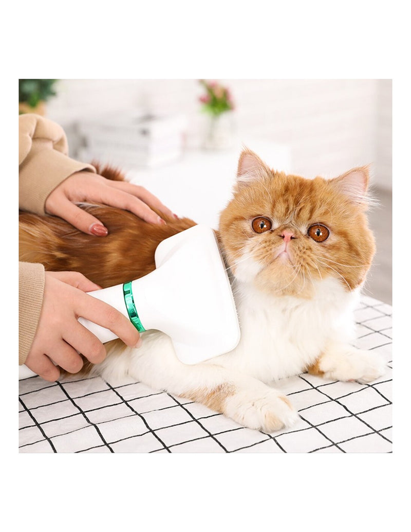 Escova e Secador para Animais de Ar Quente