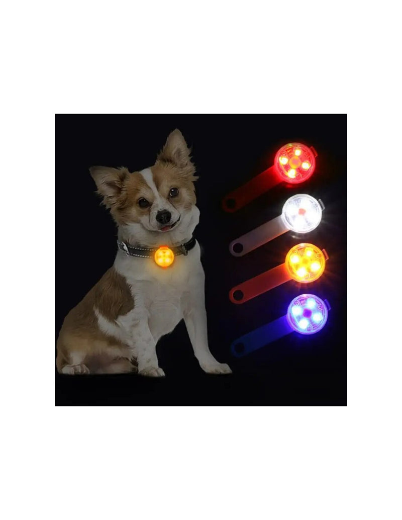 LED Segurança p/Animal