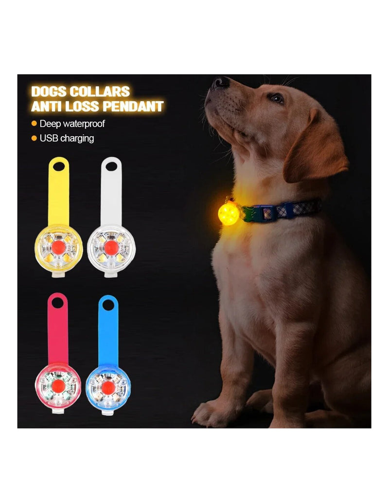 LED Segurança p/Animal