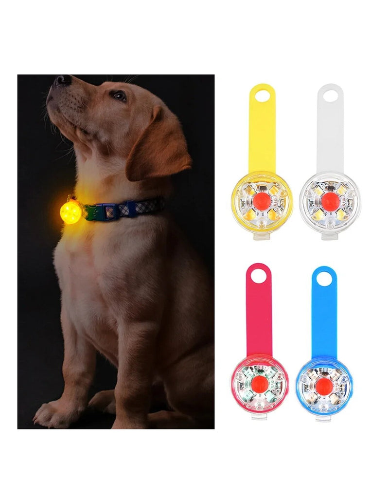 LED Segurança p/Animal